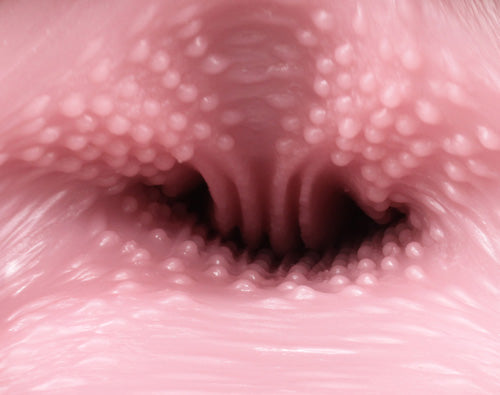 大魔王 Venus Clone(Soft) 名器 Tomax 大魔王