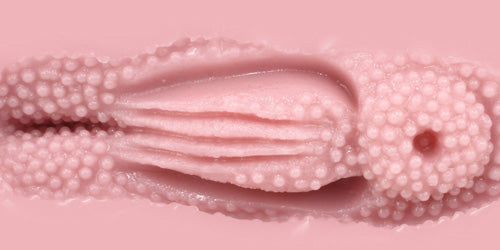 大魔王 Venus Clone(Hard) 名器 Tomax 大魔王