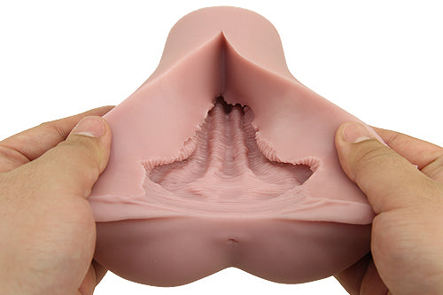 大魔王 Muses Fillo (Regular) 名器 Tomax 大魔王