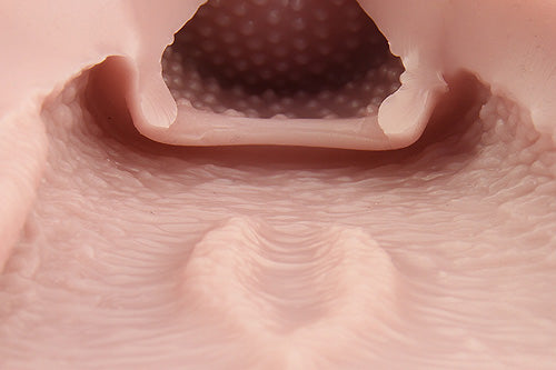 大魔王 Lilith Uterus(Hard) 名器 Tomax 大魔王