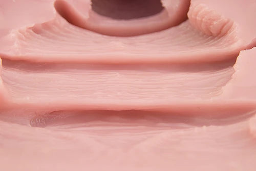 大魔王Dolphin!名器Regular版本名器 Tomax 大魔王