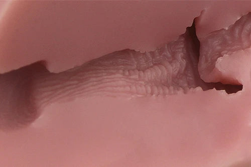 大魔王Dolphin!名器Regular版本名器 Tomax 大魔王