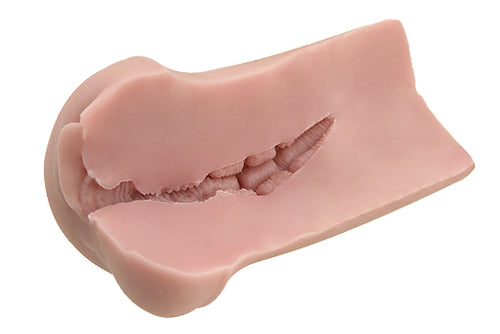 大魔王 Muses Fillo (Rich Soft) 名器 Tomax 大魔王