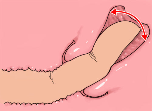 大魔王 Muses Arkhe  (Regular) 名器 Tomax 大魔王